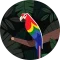Nikki R. Avatar